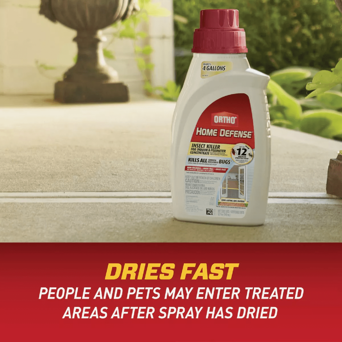 Ortho Home Defense Insect Killer for Indoor & Perimeter Concentrate, 32 oz.