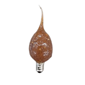 Soft-tipped decorative bulb with spicy rosehips scent for warm lighting in home decor and under $50 collections