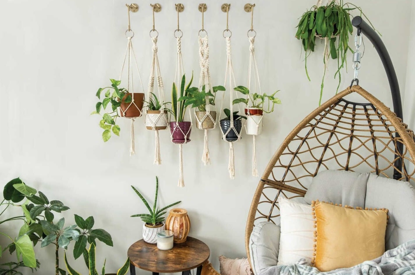 Brushed gold steel small S-hooks hanging macrame plant holders on a white wall for home decor and improvement