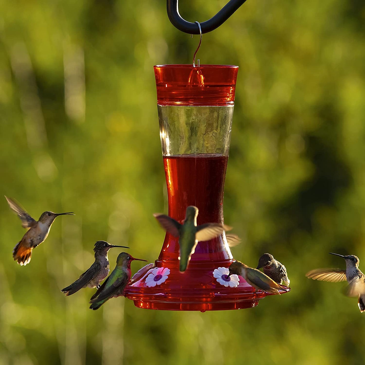 Garnet glass hummingbird feeder with seven flower ports attracting multiple hummingbirds in outdoor living and wildlife supplies