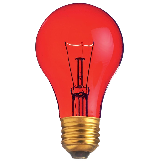 Red A19 light bulb with transparent glass and medium base for lighting and electrical use under $50 collections