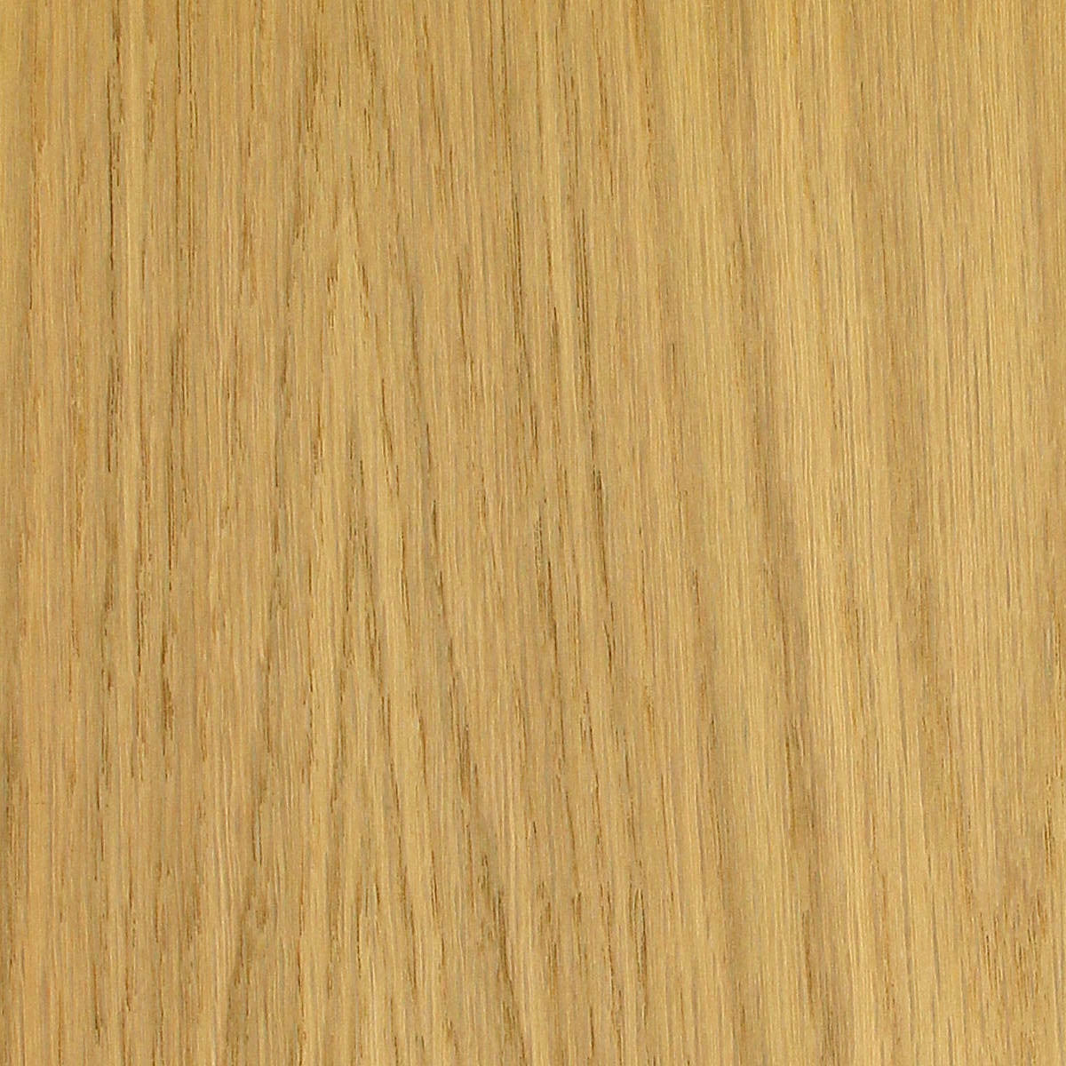 Sauers White Oak 1X8 White Oak 10Mil