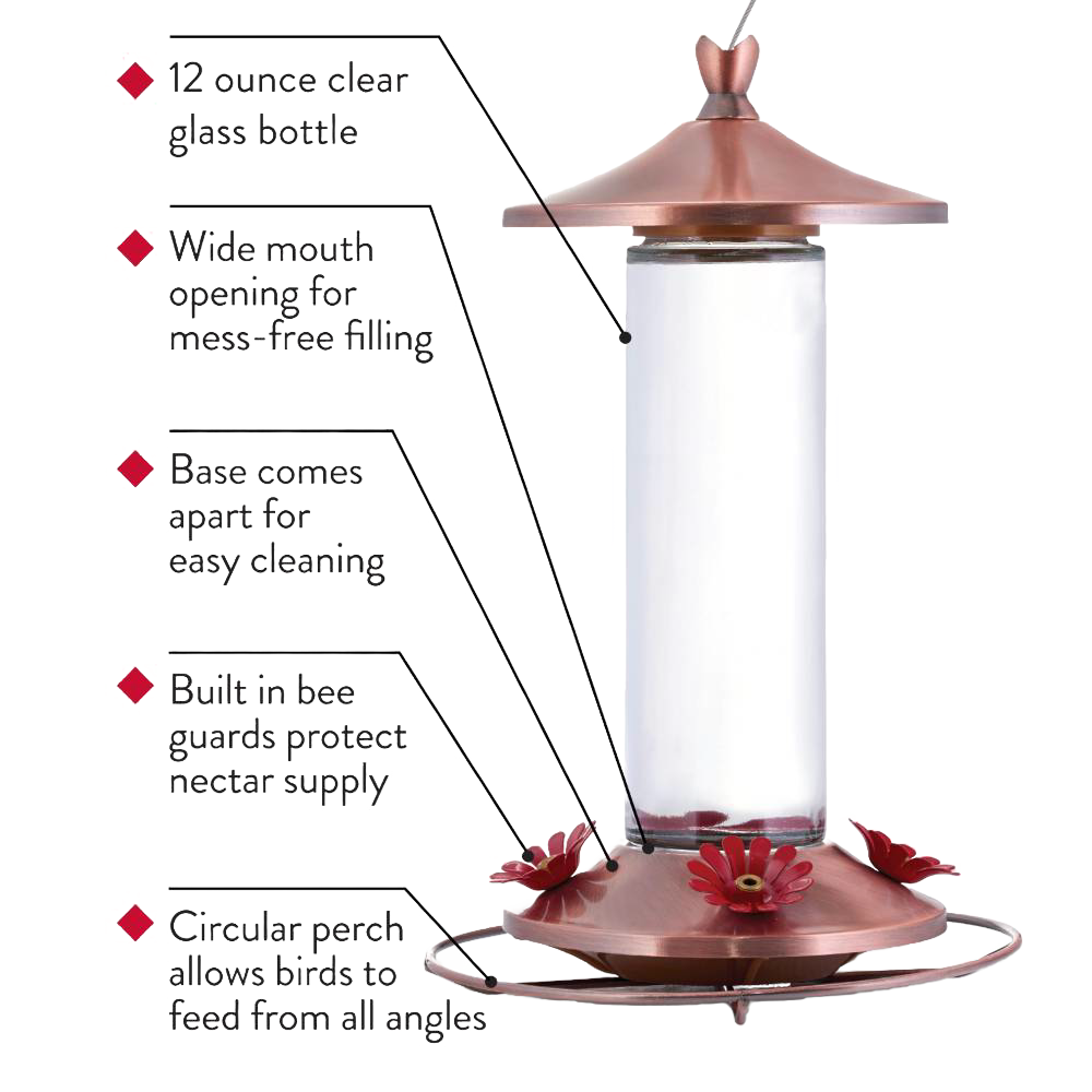 Copper-toned hummingbird feeder with glass reservoir, four decorative flower feeding ports, and hanging ring for outdoor use
