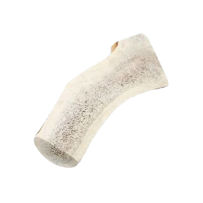 Natural large split elk antler dog chew treat for pets in dog food and toy supplies collections under $50