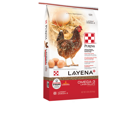 40 lb. bag of Purina Layena Plus Omega-3 layer pellets with nutrition for healthy chickens and eggs