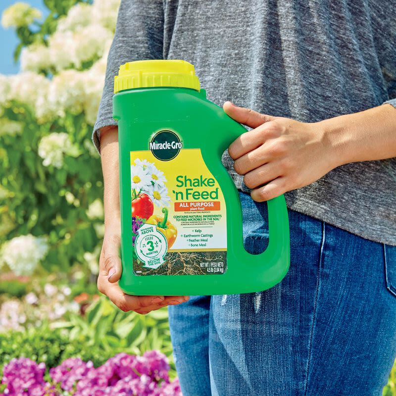 Green plastic container of Miracle-Gro Shake N Feed plant food with yellow cap for lawn and garden care under $50 collections