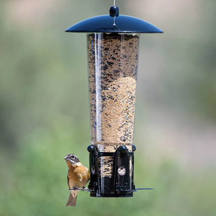 Clear plastic bird feeder with black top and base, flexports, and 3-pound seed capacity for outdoor bird feeding