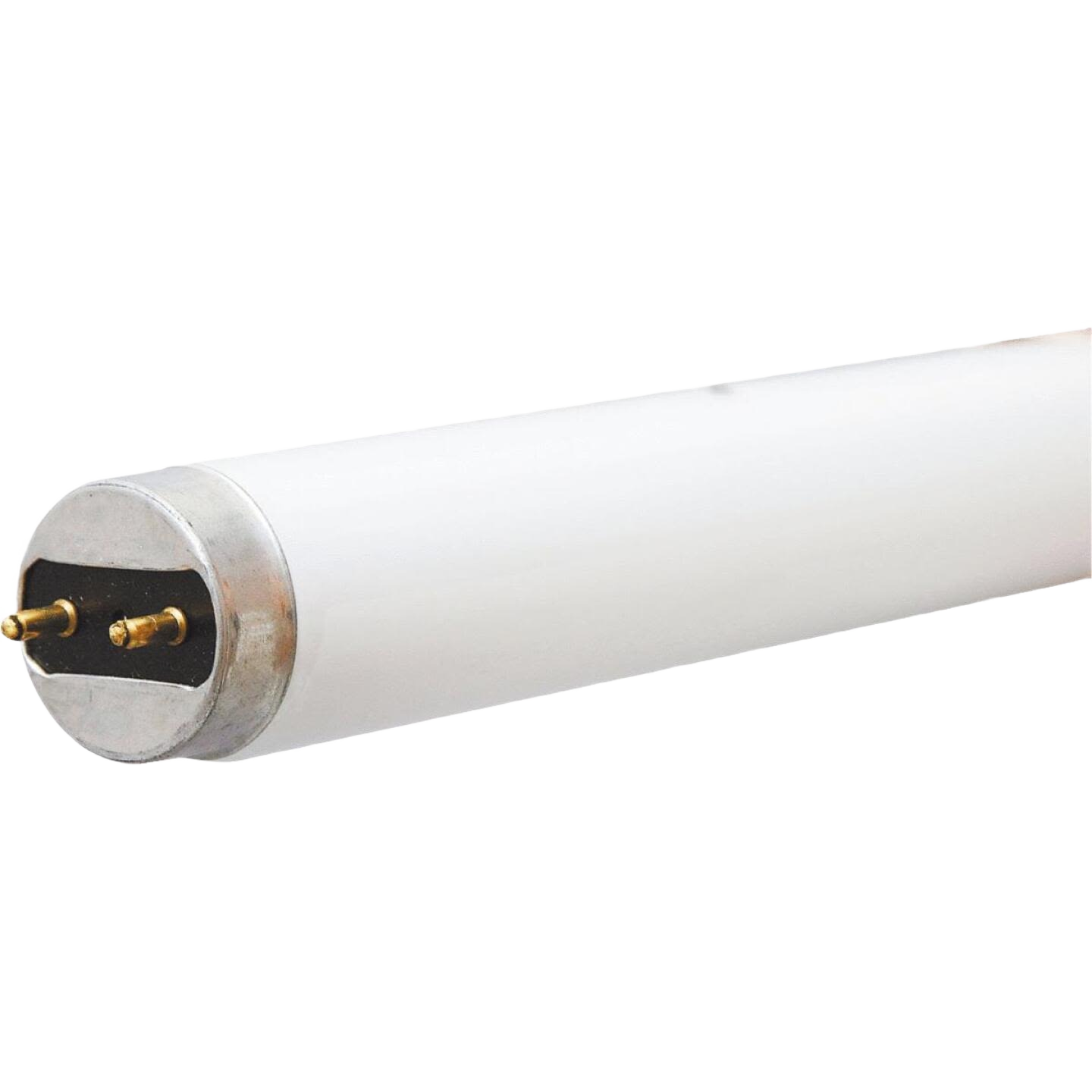 17 watt 24 inch bright white T8 tube light bulb with medium bi-pin base for lighting and electrical use under $50 collections