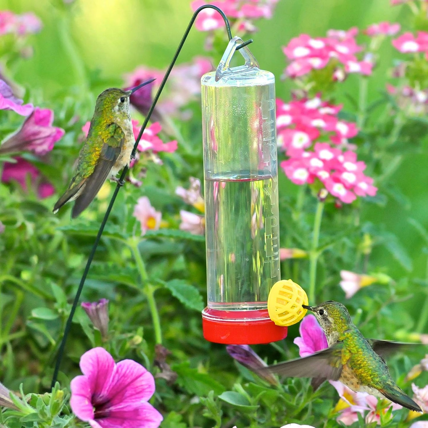 Clear plastic hummingbird feeder with red base and yellow port attracting two hummingbirds among pink garden flowers