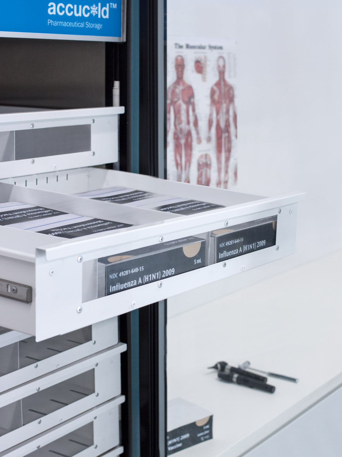 Refrigerator Drawer