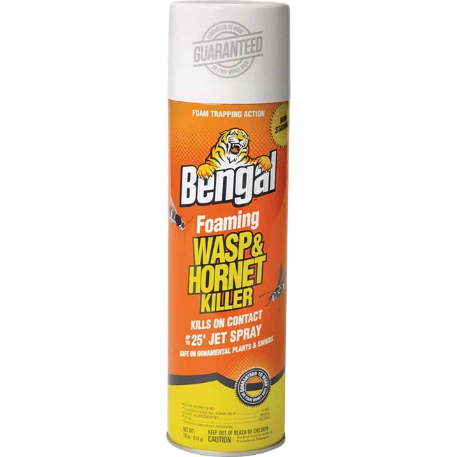 Orange and yellow aerosol can of Bengal foaming wasp and hornet spray for insect and pest control in lawn and garden use