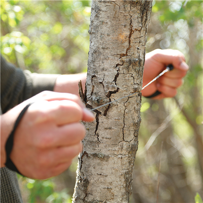 Hands using a compact pocket chainsaw with black handles to cut a tree branch outdoors in natural light