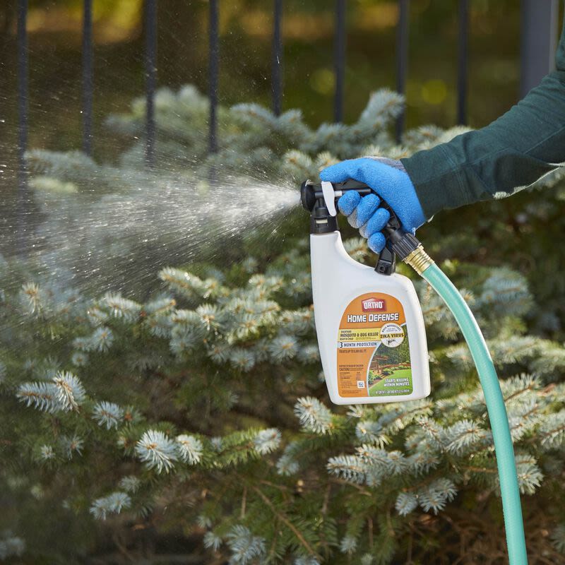 Gloved hand spraying bug and mosquito killer from attached hose spray bottle onto garden shrubs for pest control