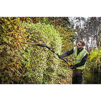 Man using adjustable pole hedge trimmer to shape dense green hedge in outdoor home improvement setting
