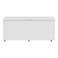 25 Cu. Ft. Garage Ready Chest Freezer