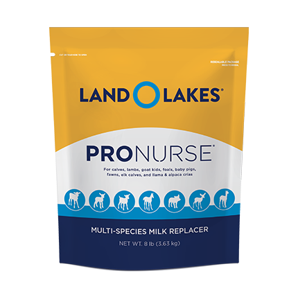 Land O Lakes ProNurse Multi Species Milk Replacer, 8 lb.