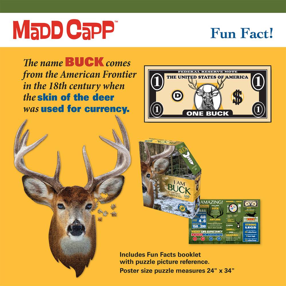 Yellow background with buck illustration, puzzle box, and fun facts about deer skin currency in Toys & Games collection