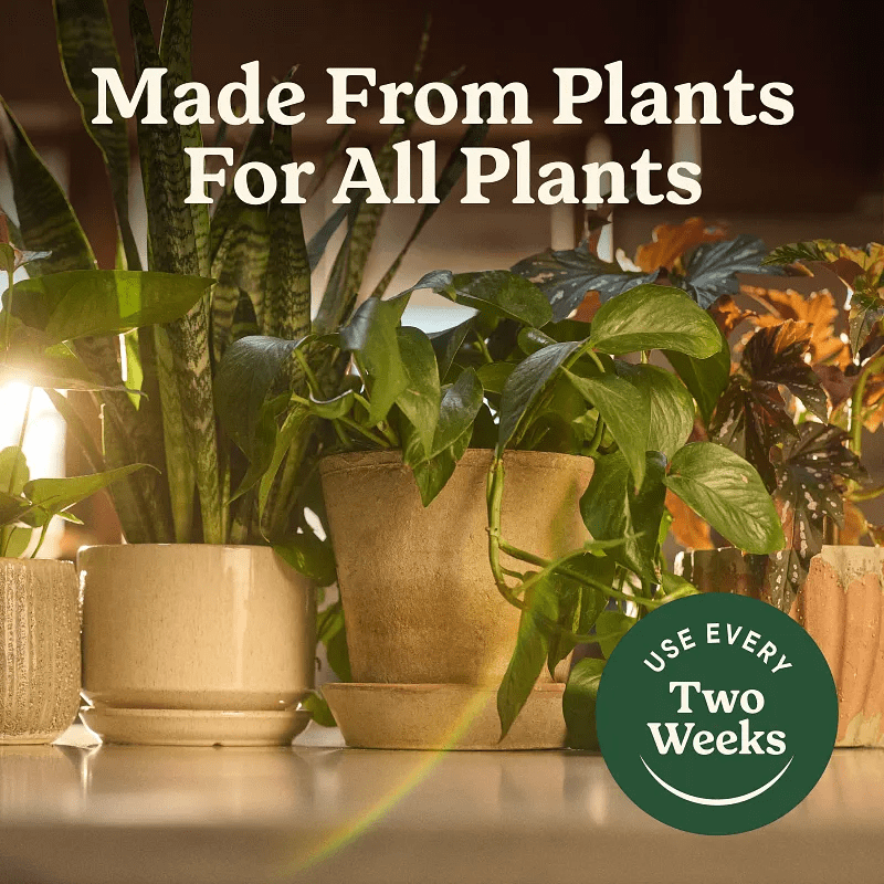 Miracle-Gro 8 Oz. Organic Indoor Plant Food