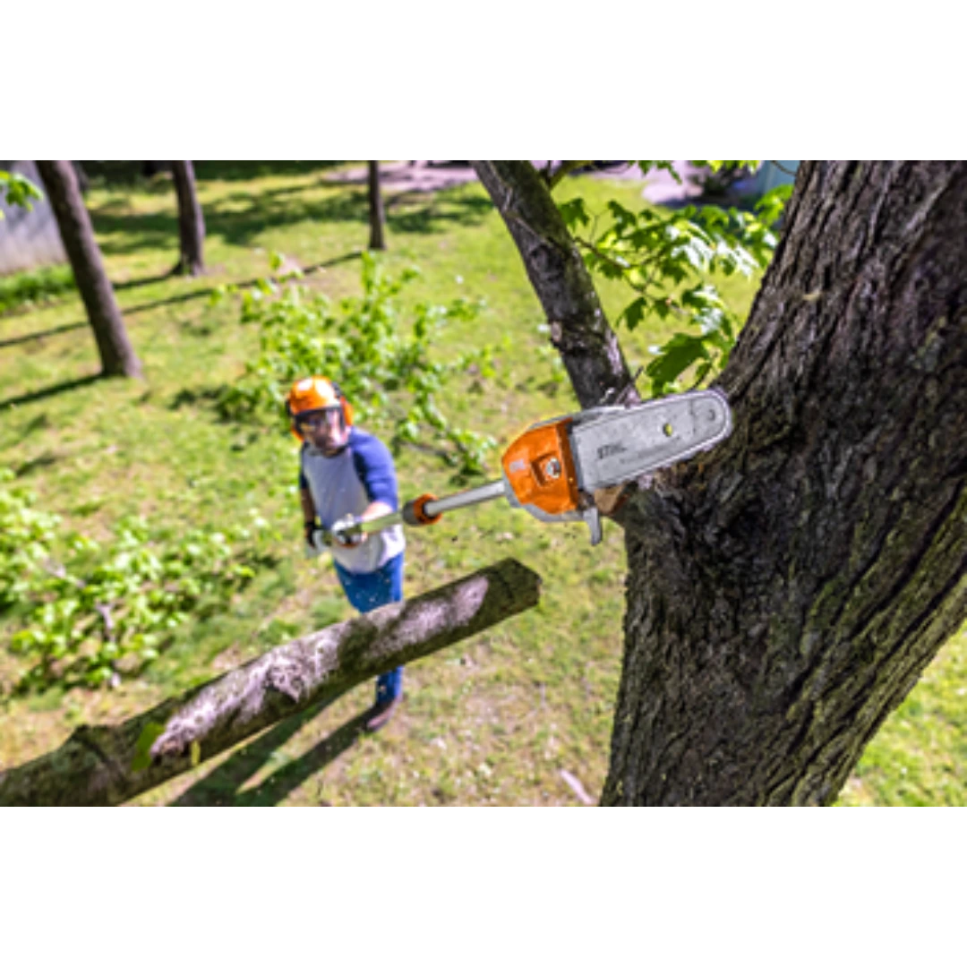 Person wearing protective gear using battery-operated pole saw to trim branches from large tree outdoors