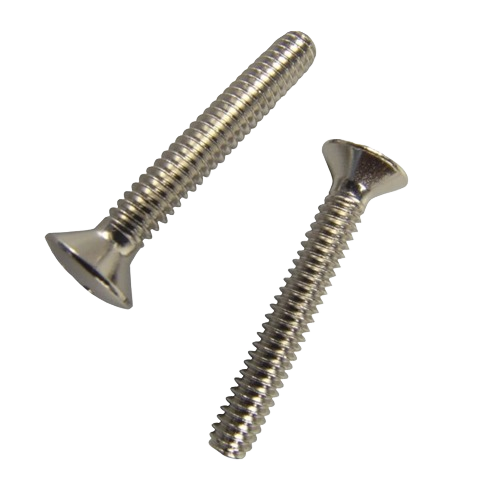 Two metal screws with flat heads for plumbing and shower repair parts under fifty dollars