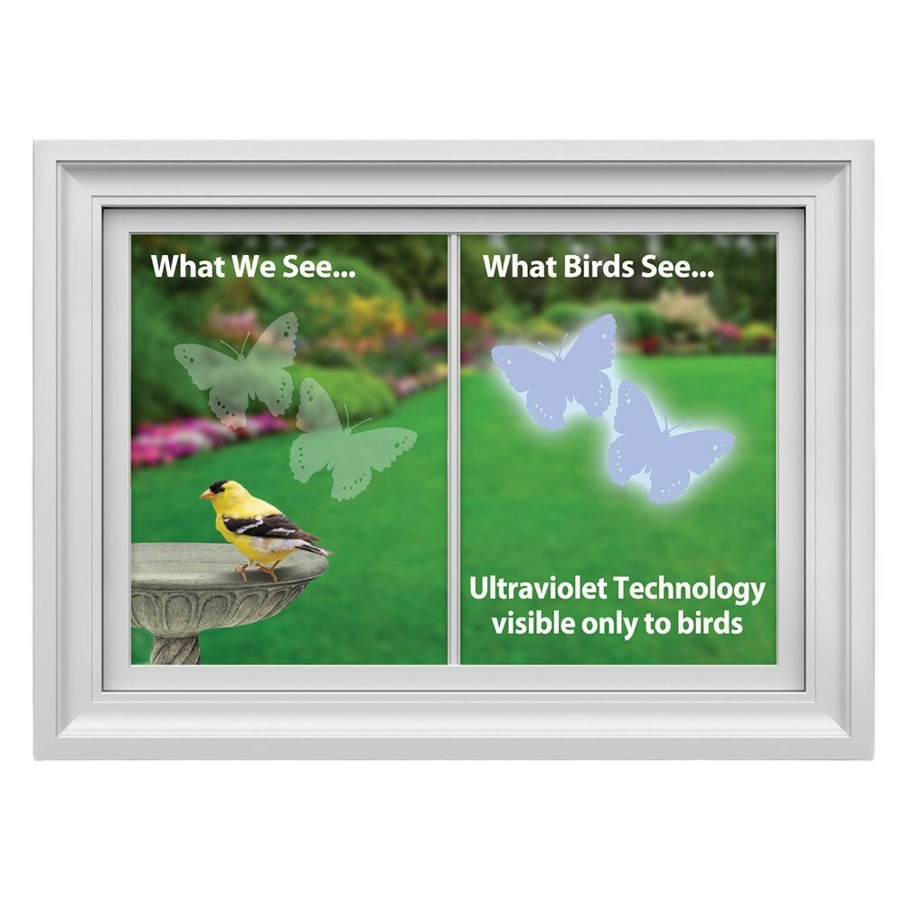 White-framed window showing bird and butterfly decals with ultraviolet pattern visible only to birds for home safety