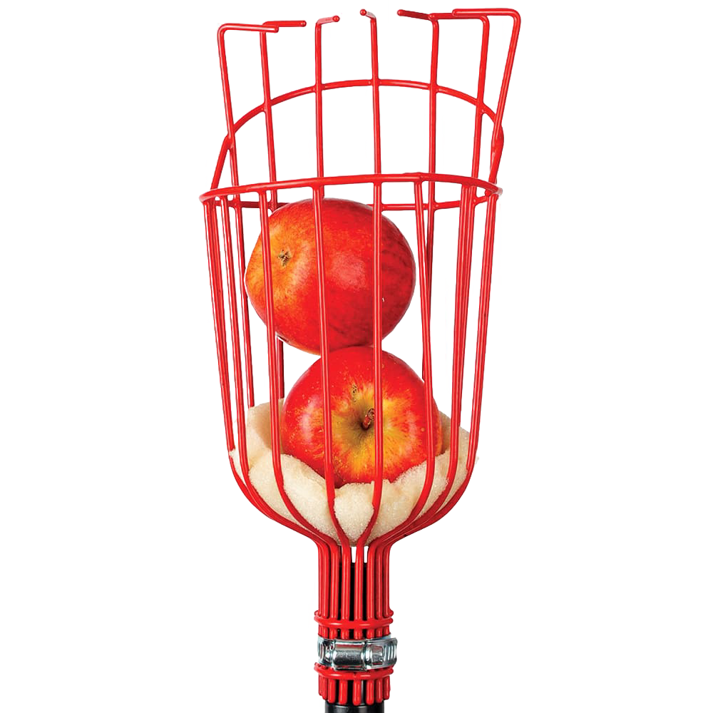 Seymour Midwest Replacement Head for Fruit Harvester Tool