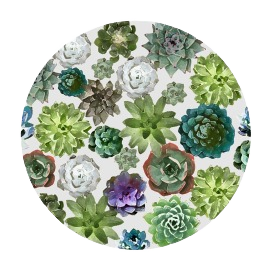 Round silicone jar opener with assorted colorful succulents pattern for kitchen gadgets and tools collection