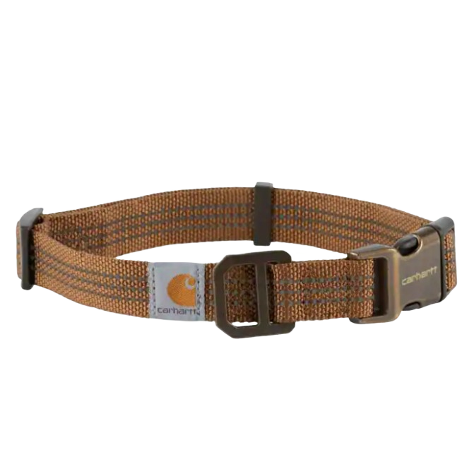 Collars & Leashes