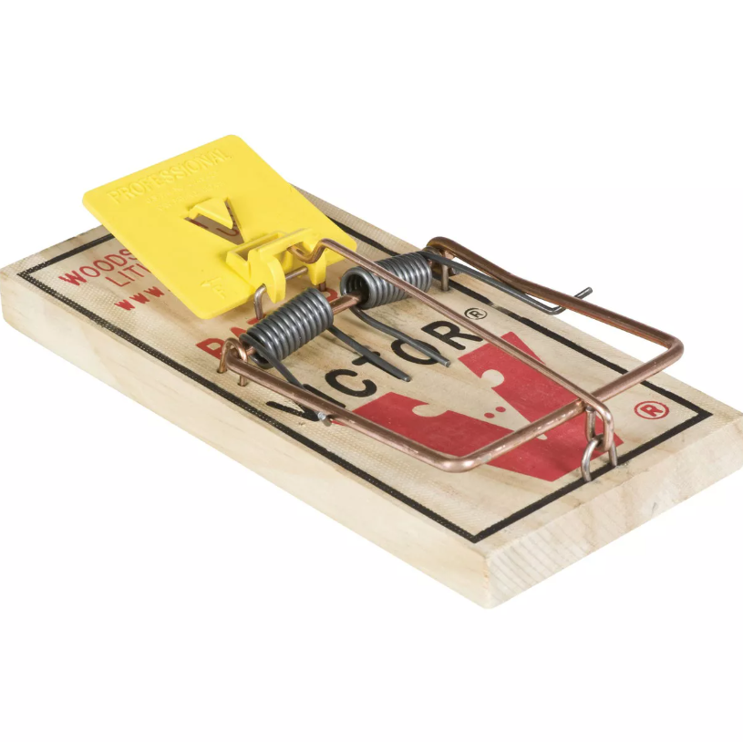 Natural wood mechanical rat trap with metal trigger and safety catch for effective indoor and outdoor rodent control under $50