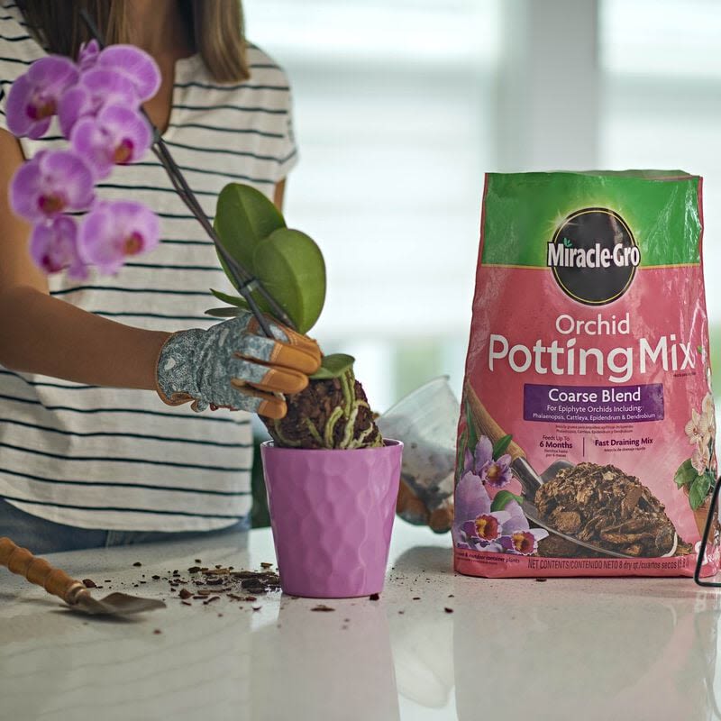 Bag of coarse blend orchid potting mix with person repotting orchid plant in pink textured planter on countertop
