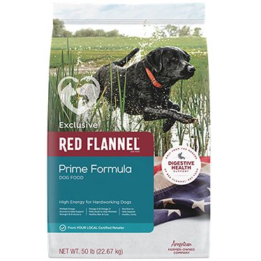 Bag of premium dry dog food designed for hardworking dogs supporting digestive health and active lifestyles under $100