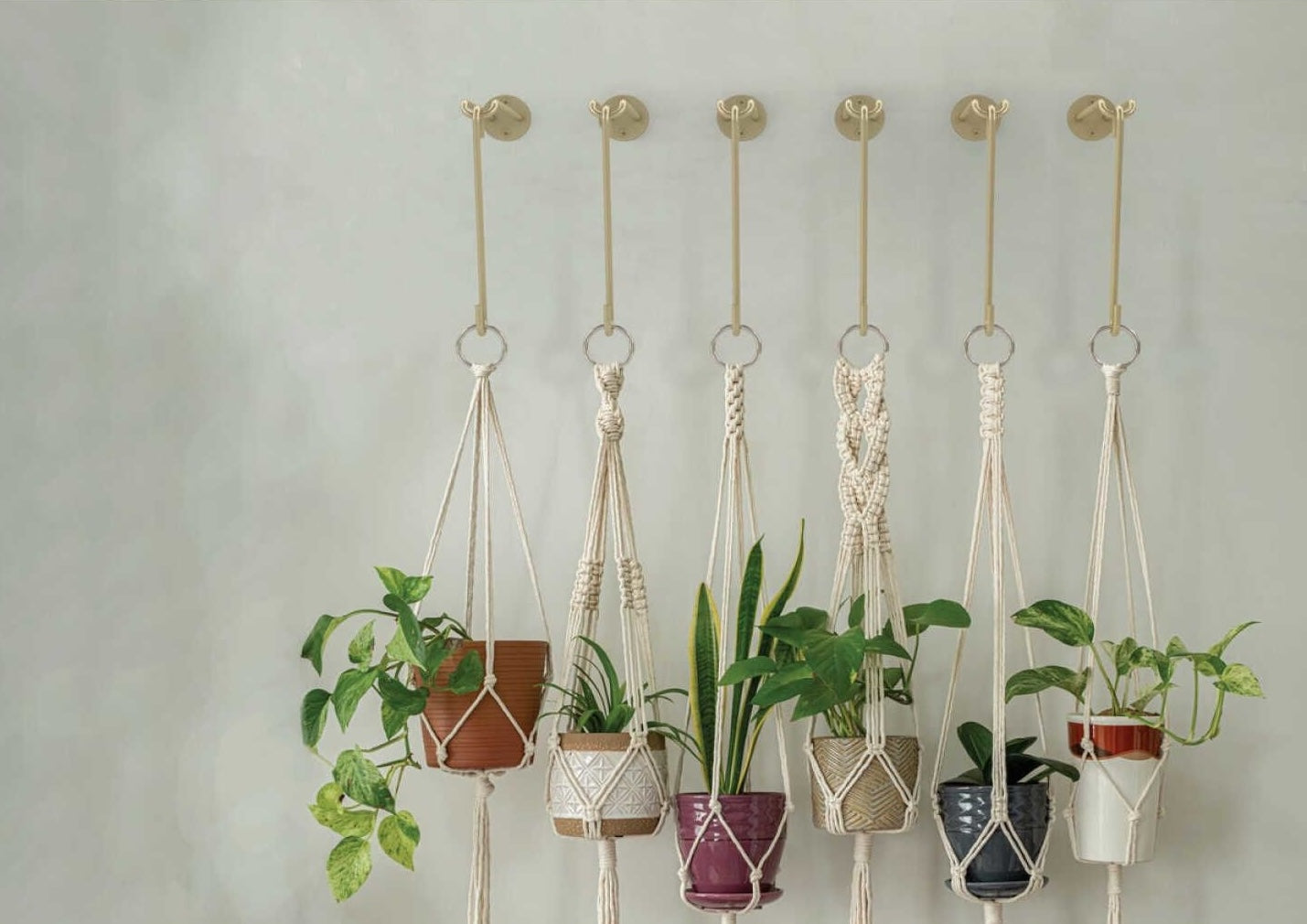 Brushed gold steel large S-hooks hanging various potted plants in macrame holders for home improvement and decor