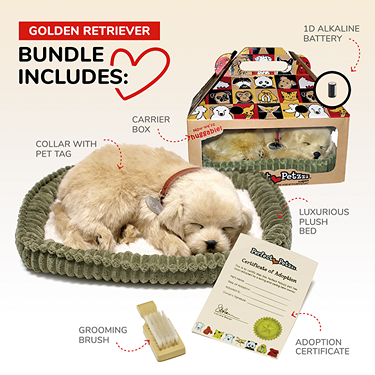 Lifelike golden retriever puppy replica resting on plush bed with carrier, collar, grooming brush, and adoption certificate.