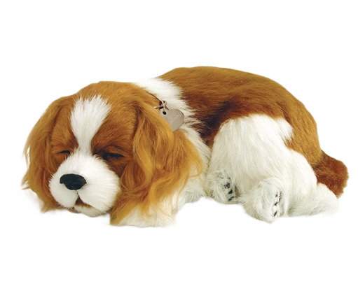 Realistic plush toy of a sleeping Cavalier King Charles dog with white and brown fur detailing