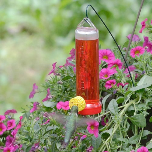 Red nectar-filled hummingbird feeder with yellow feeding port hanging among pink flowers in a garden setting