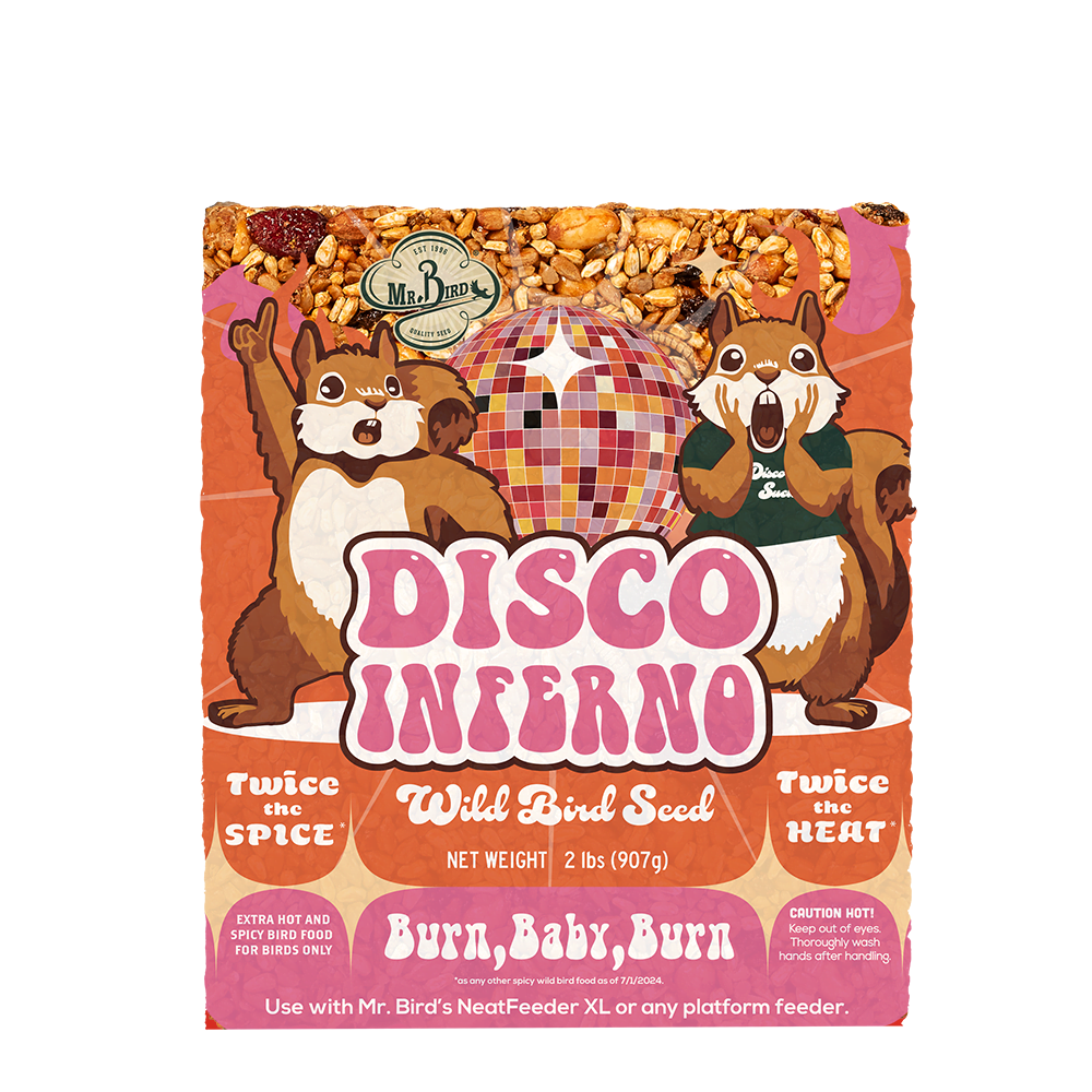 Colorful seed cake packaging featuring two dancing squirrels and a disco ball with bold retro typography