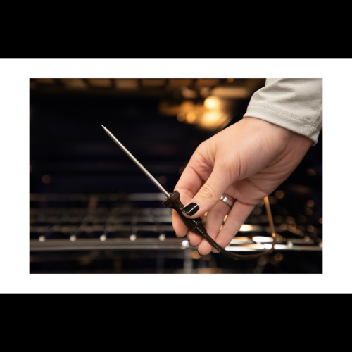 Hand holding a digital meat thermometer probe inside an electric oven from ranges appliance collection