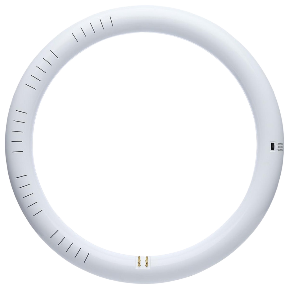 White circular T9 LED circline bulb with selectable color temperature for lighting and electrical applications