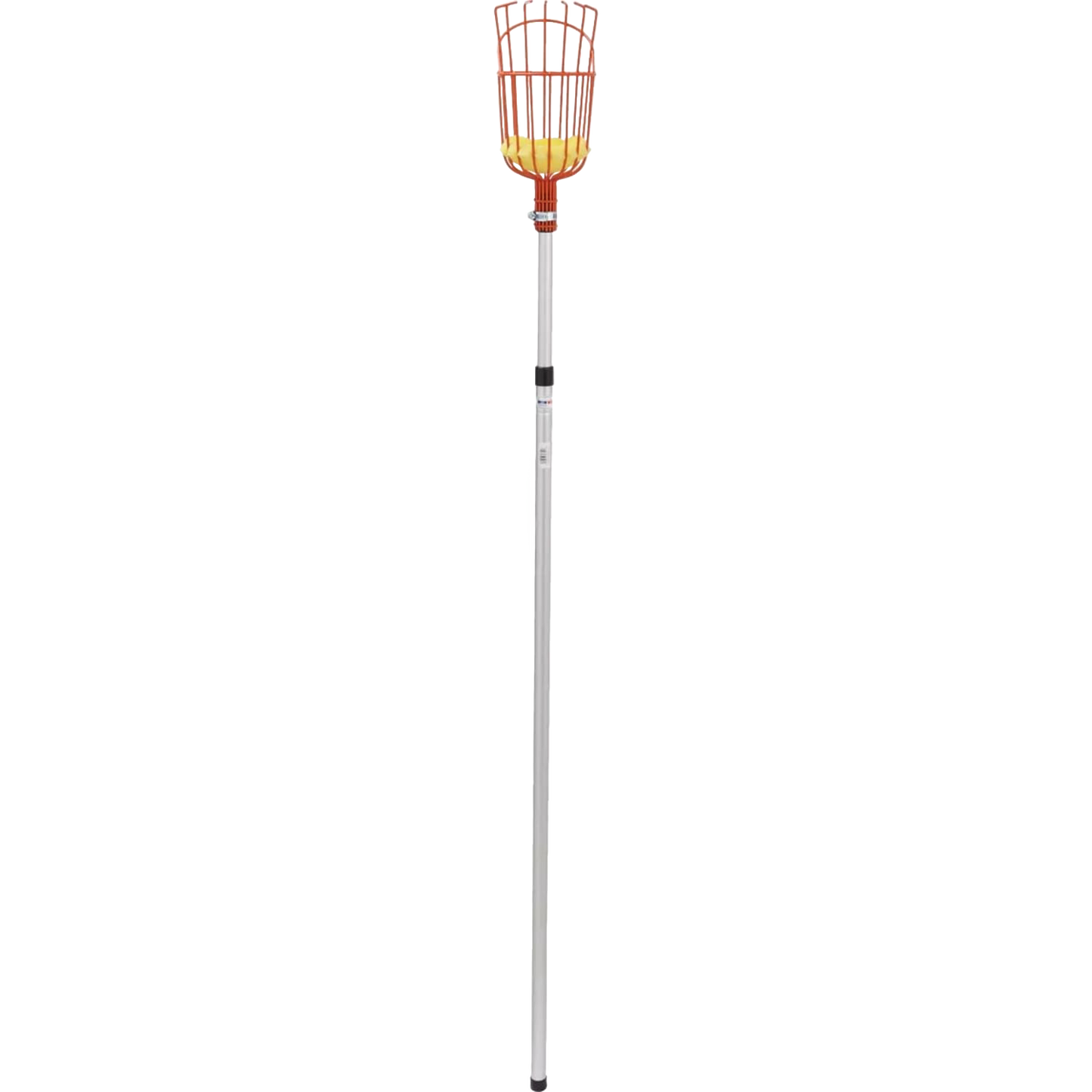 Garden fruit picker with orange enameled steel basket and extendable pole in outdoor hand tools and gardening collection