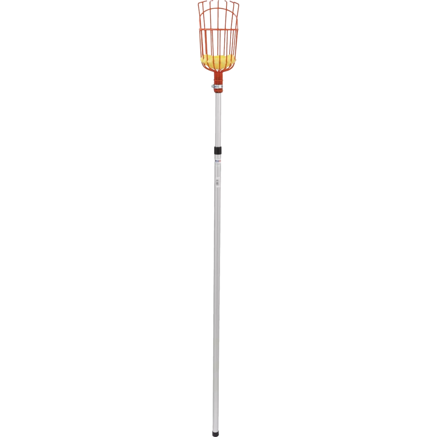 Garden fruit picker with orange enameled steel basket and extendable pole in outdoor hand tools and gardening collection