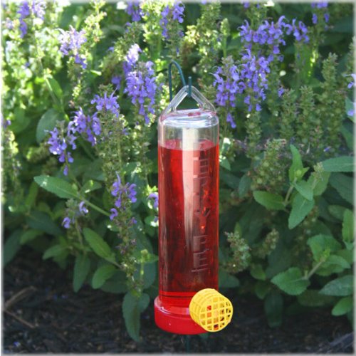 Red plastic hummingbird feeder with yellow feeding port hanging in garden surrounded by green leaves and purple flowers