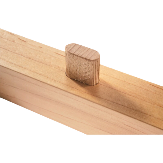 Beech hardwood tenon inserted into light wood joint for woodworking in power tool accessories collection