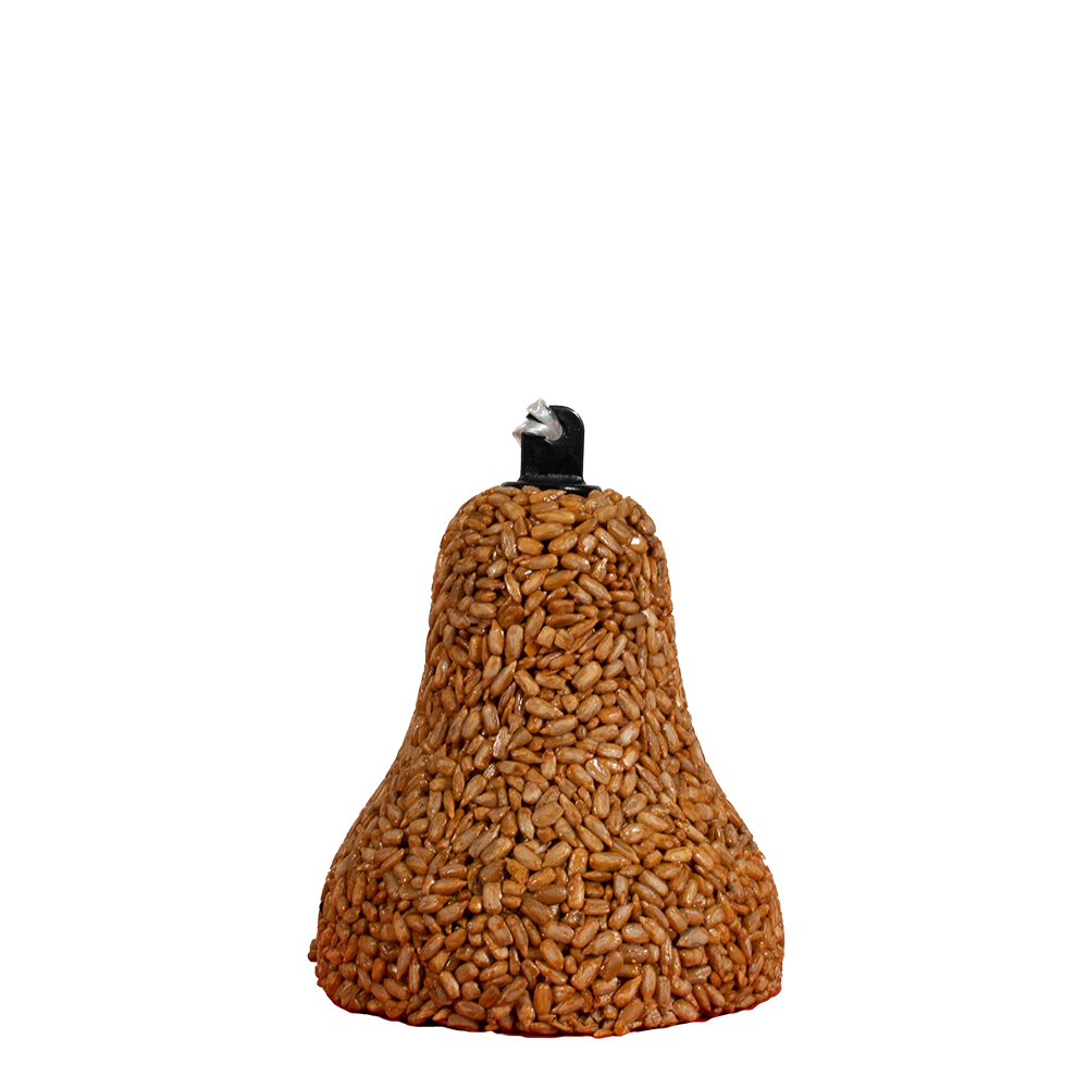 Bell-shaped bird seed feeder with clip for hanging in outdoor spaces to attract wild birds and promote wildlife care