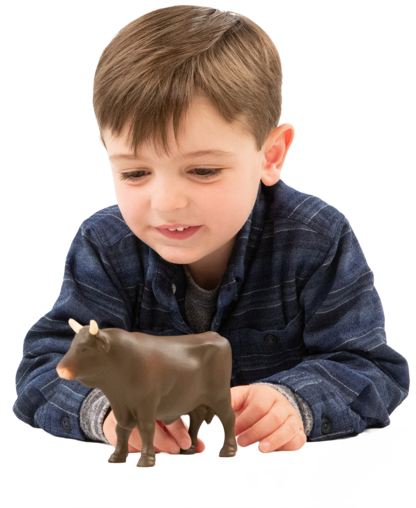 Young boy playing with a detailed brown plastic bull figurine with white horns for imaginative play.