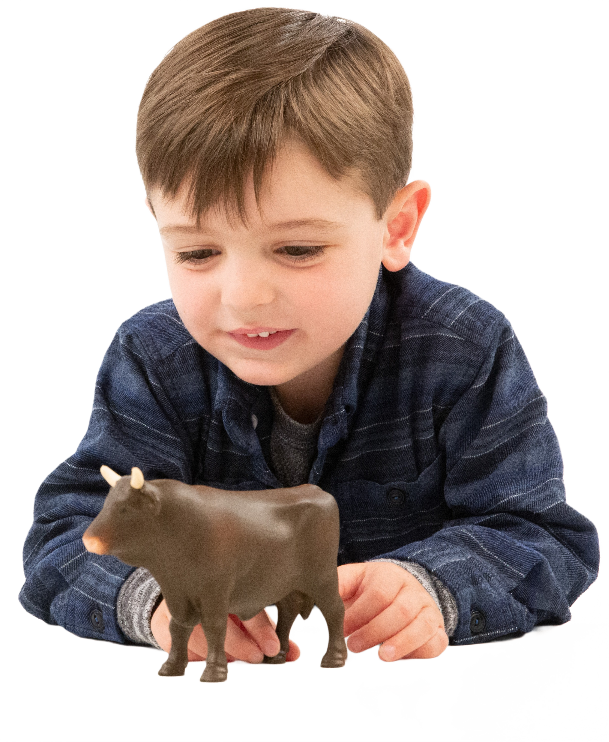 Young boy playing with a detailed brown plastic bull figurine with white horns for imaginative play.