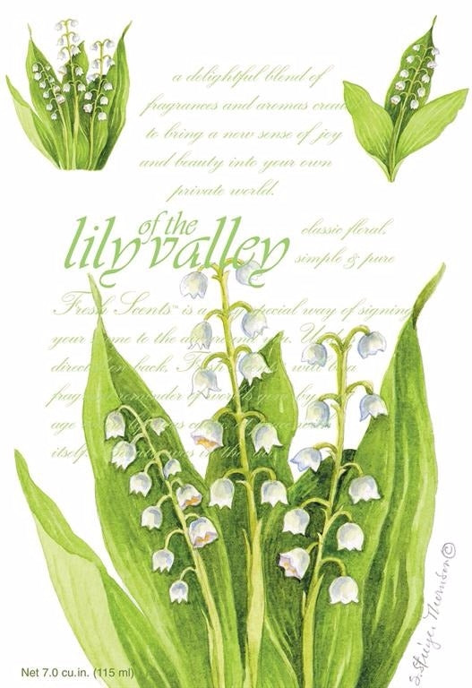 Illustration of white lily of the valley flowers with green leaves for household items under $50 collection
