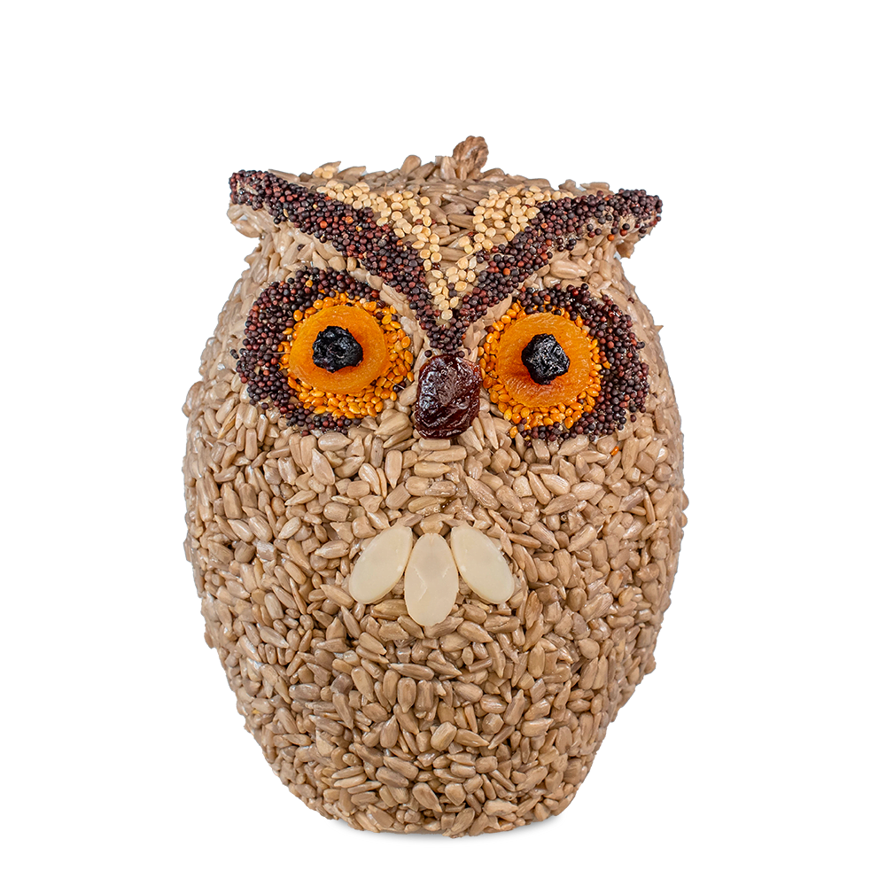Owl-shaped bird feeder covered in mixed seeds with large round eyes and a beak for outdoor feeding use