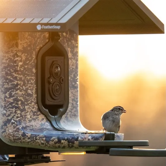 FeatherSnap Camera Bird Feeder