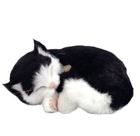 Perfect Petzzz Black & White Shorthair Kitten Toy – Hartville Hardware