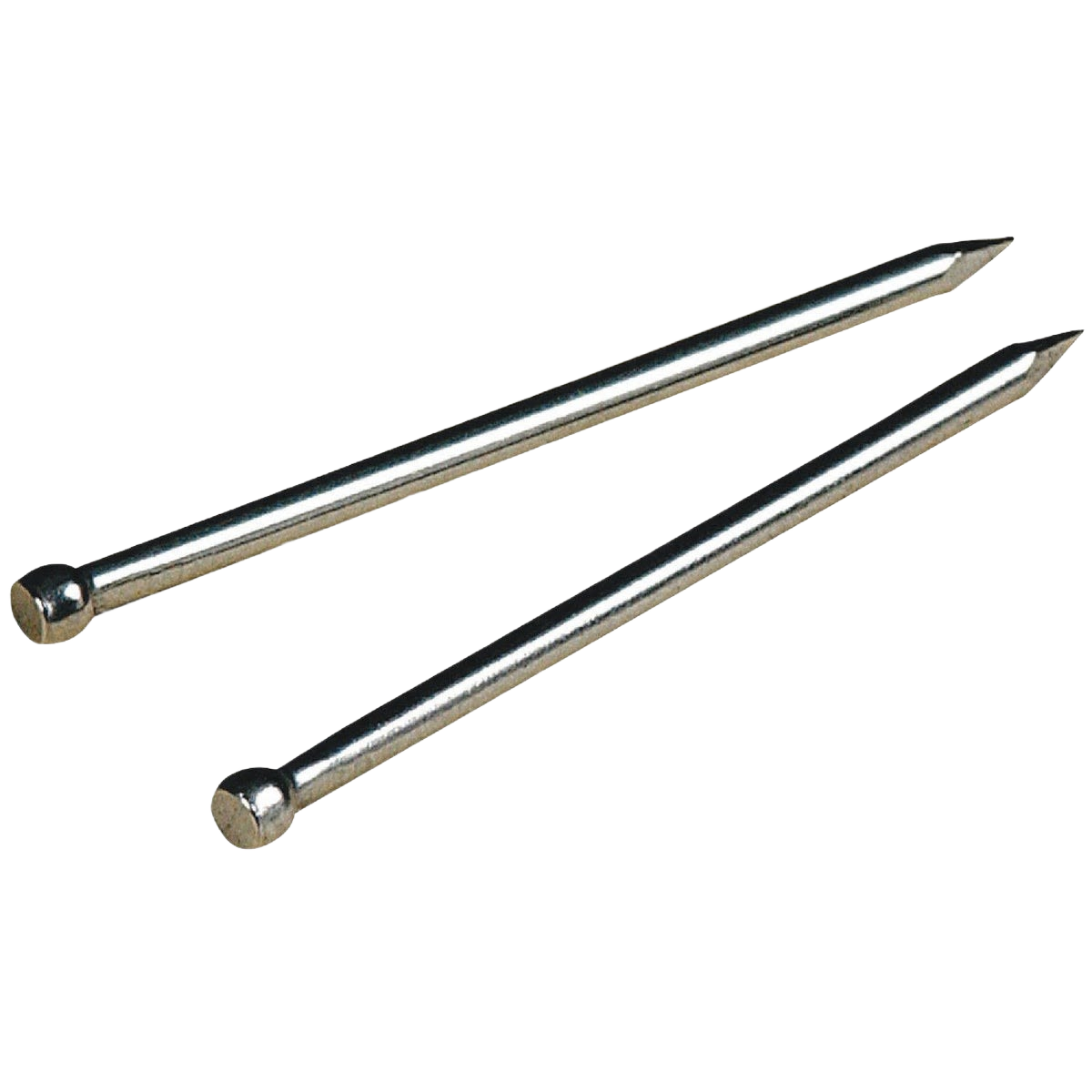 Two stainless steel brads with rounded heads for precision woodworking in fasteners and hardware collections